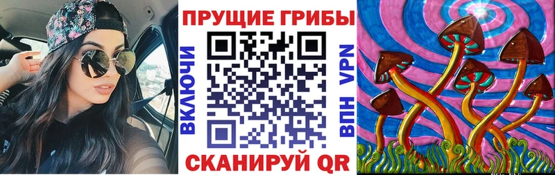 Псилоцибиновые грибы Cubensis  Ряжск 